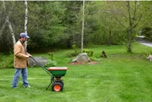 How to Apply Lawn Fertilizer?