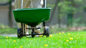 What is lawn fertilizer