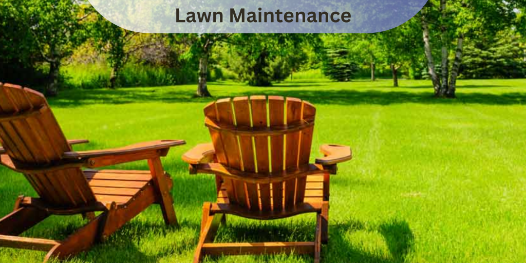 Lawn maintenance services
