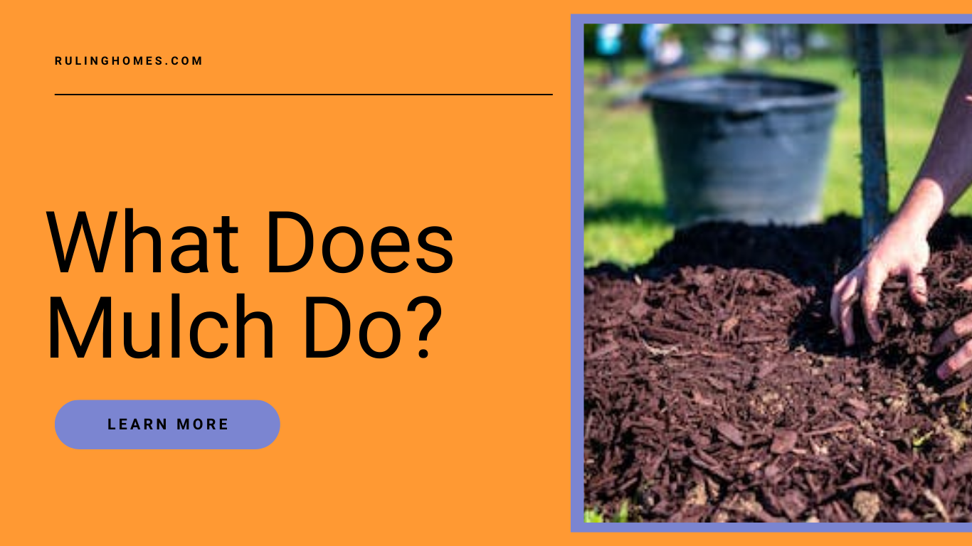What does Mulch do?